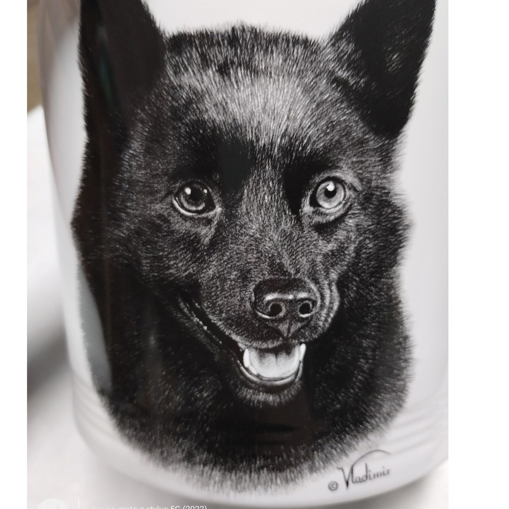 Rosalinde Schipperke Dog Treat Jar Cookie Canister Porcelain USA - Picture 11 of 12